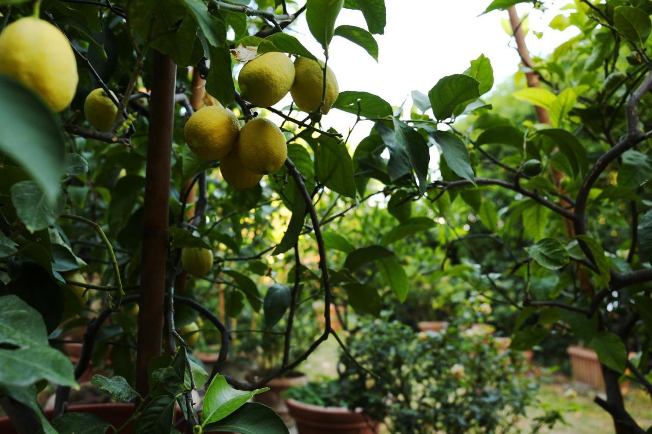 Relais Casamassima Villa Perugia Eksteriør billede